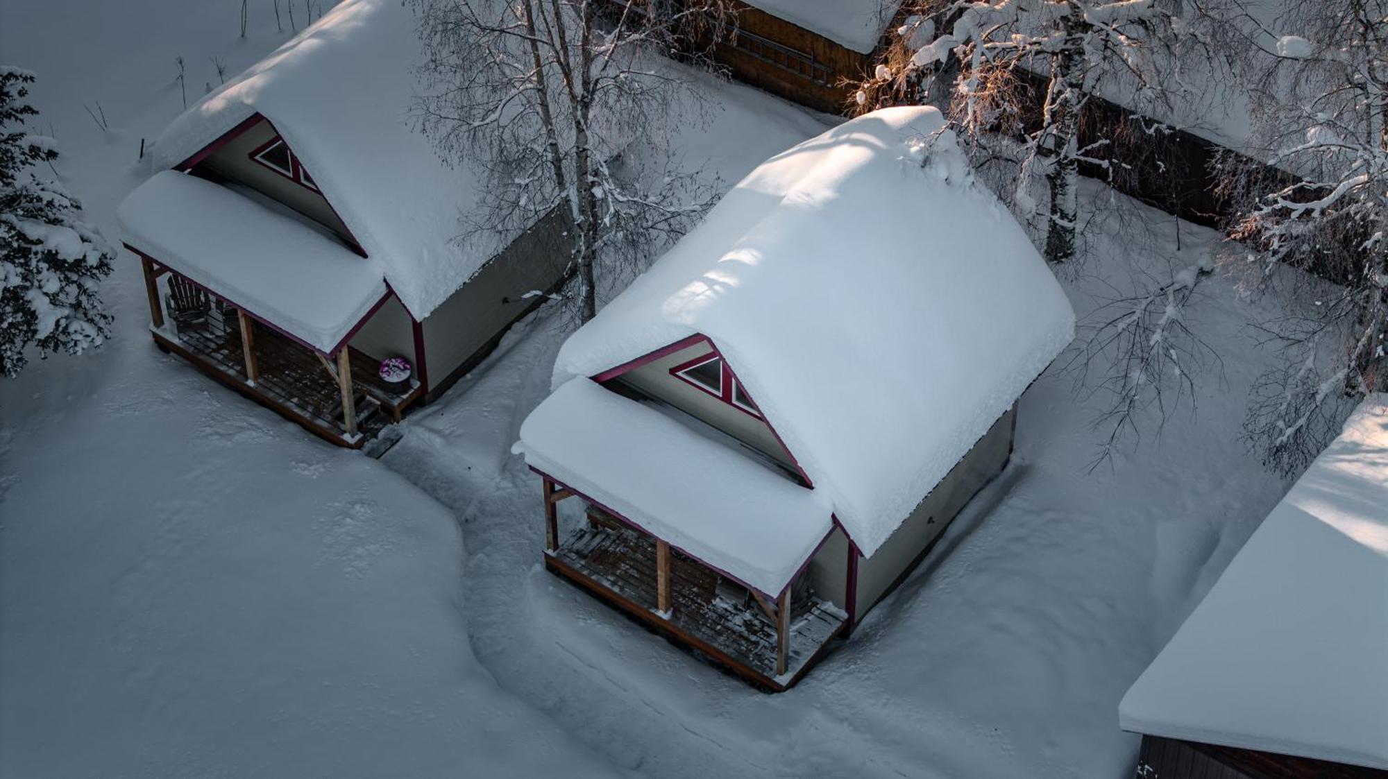 Downtown Talkeetna Cabin! Susitna Cabin المظهر الخارجي الصورة