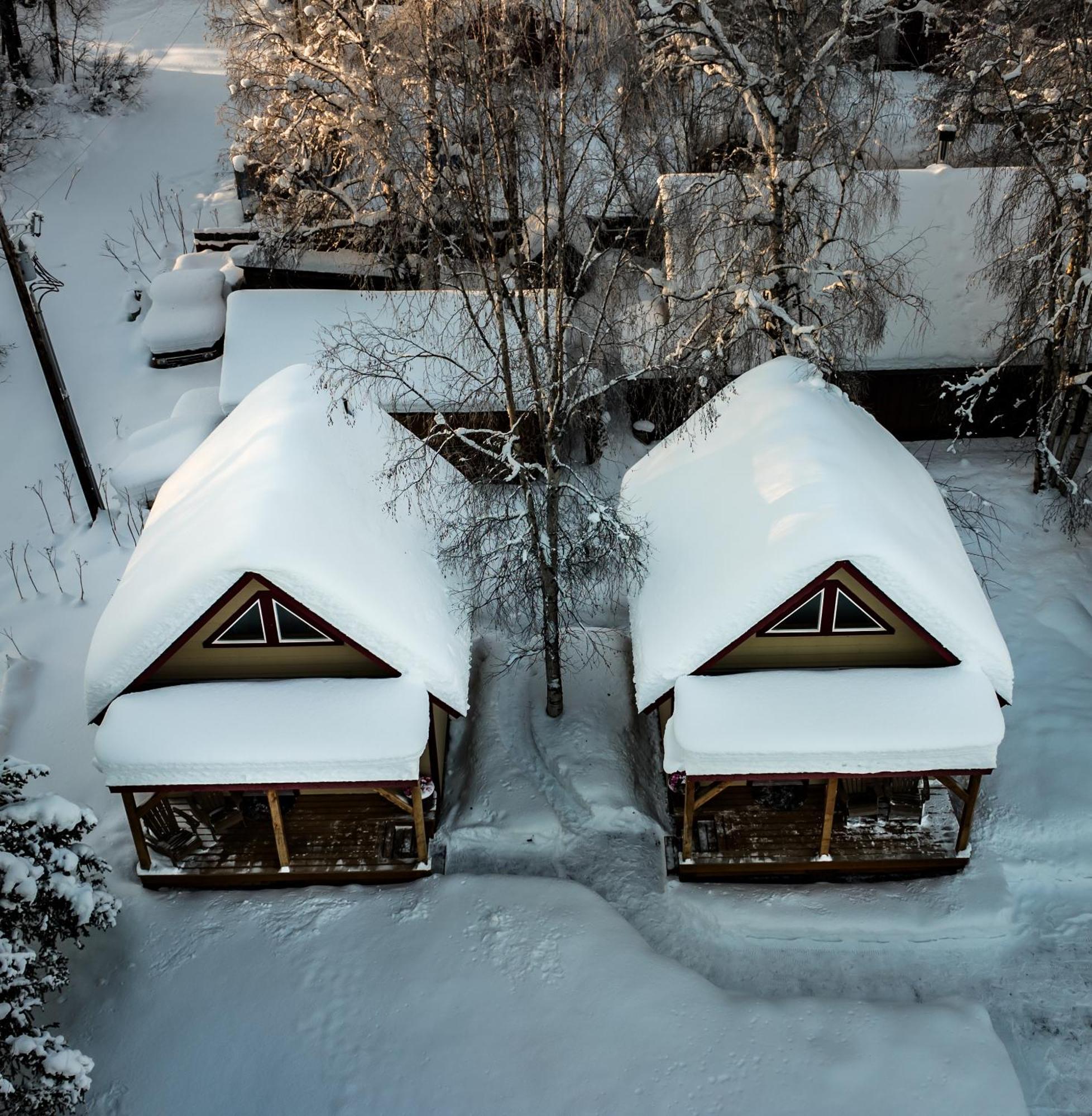 Downtown Talkeetna Cabin! Susitna Cabin المظهر الخارجي الصورة